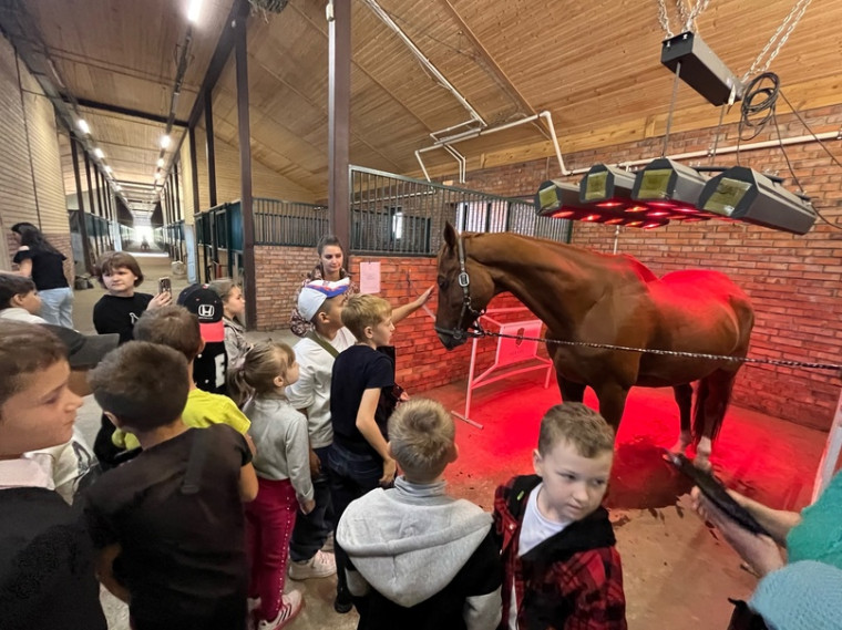 26 сентября для детей участников СВО была организована поездка в конный клуб «Гермес»..